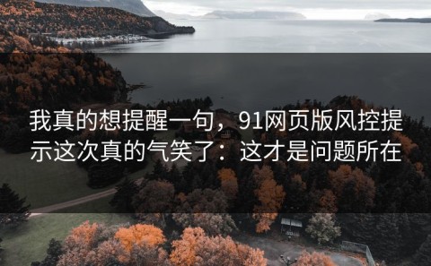 我真的想提醒一句，91网页版风控提示这次真的气笑了：这才是问题所在
