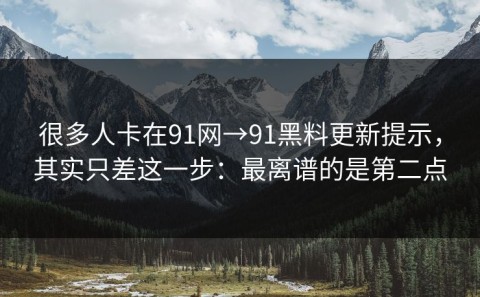 很多人卡在91网→91黑料更新提示，其实只差这一步：最离谱的是第二点
