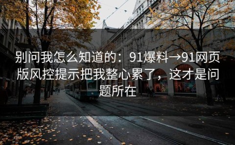 别问我怎么知道的：91爆料→91网页版风控提示把我整心累了，这才是问题所在