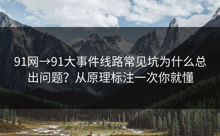 91网→91大事件线路常见坑为什么总出问题？从原理标注一次你就懂