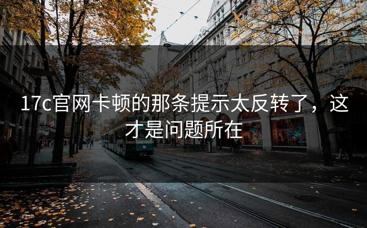 17c官网卡顿的那条提示太反转了，这才是问题所在