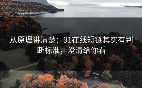 从原理讲清楚：91在线短链其实有判断标准，澄清给你看