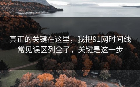 真正的关键在这里，我把91网时间线常见误区列全了，关键是这一步