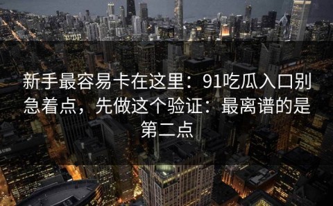 新手最容易卡在这里：91吃瓜入口别急着点，先做这个验证：最离谱的是第二点