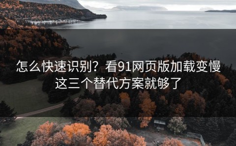 怎么快速识别？看91网页版加载变慢这三个替代方案就够了