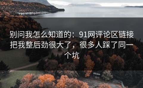 别问我怎么知道的：91网评论区链接把我整后劲很大了，很多人踩了同一个坑