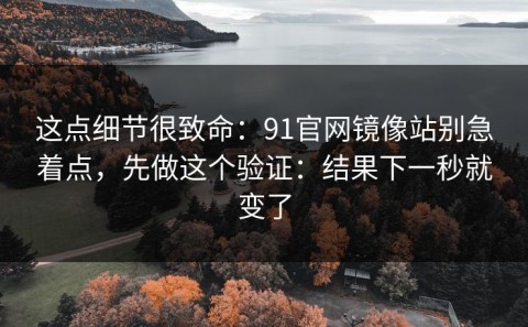 这点细节很致命：91官网镜像站别急着点，先做这个验证：结果下一秒就变了