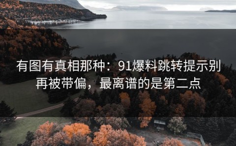 有图有真相那种：91爆料跳转提示别再被带偏，最离谱的是第二点